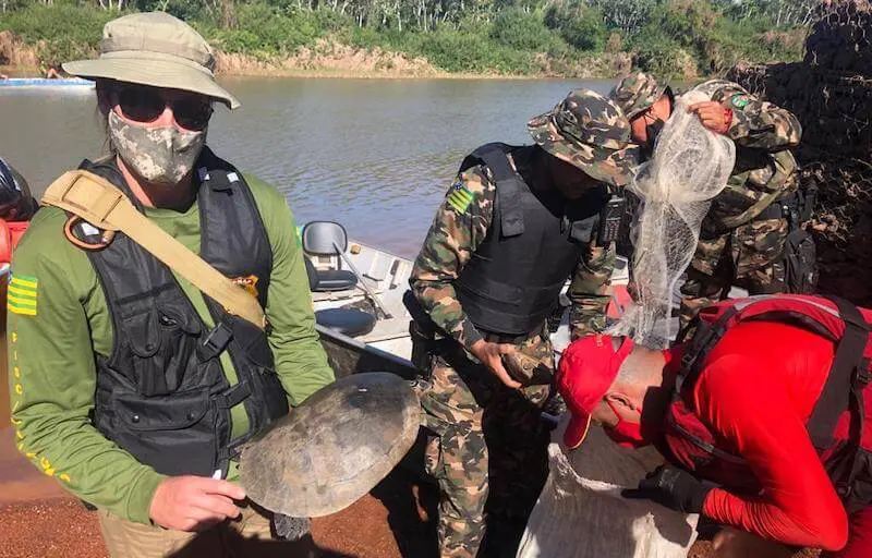 Fiscais ambientais mostram tartarugas que foram tiradas do meio ambiente em crime ambiental