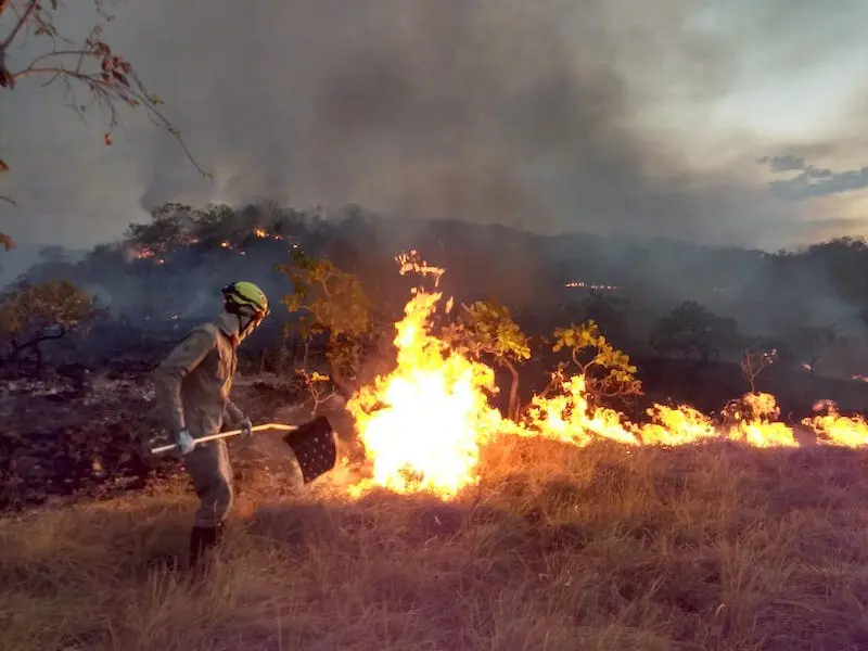 Bombeiros combatem incêndios no interior de Goiás (foto divulgação)