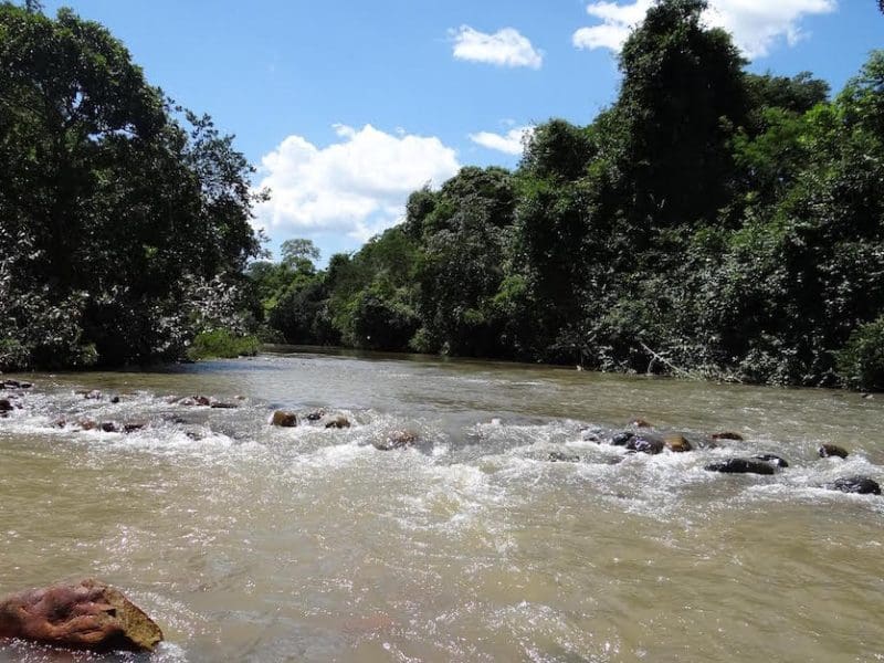 Alto Paraíso ganha mais 539 hectares de reservas ambientais