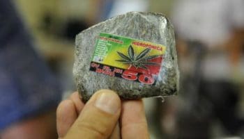 Tablete de maconha (foto de Tania Rêgo, Agência Brasil)