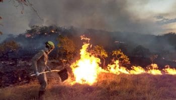 Bombeiros combatem incêndios no interior de Goiás (foto divulgação)