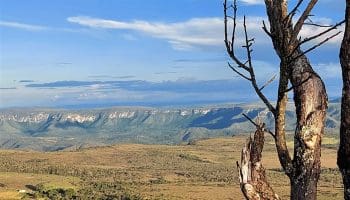 Cerrado-goiano-oferece-belas-trilhas-na-regiao-da-Chapada_Fernanda-Carasilo