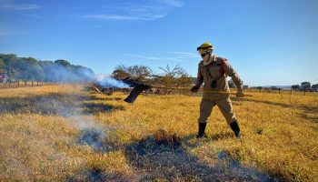 Goiás intensifica monitoramento de queimadas em áreas agrícolas