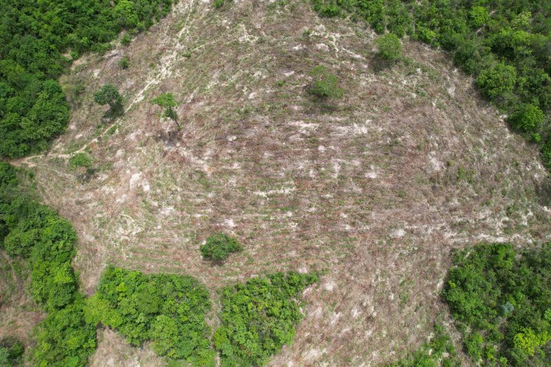 Semad flagra desmatamento ilegal de 19,1 hectares em Monte Alegre